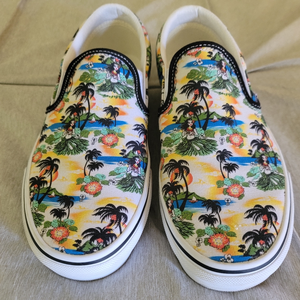 Vans Aloha Era slip on shoes.